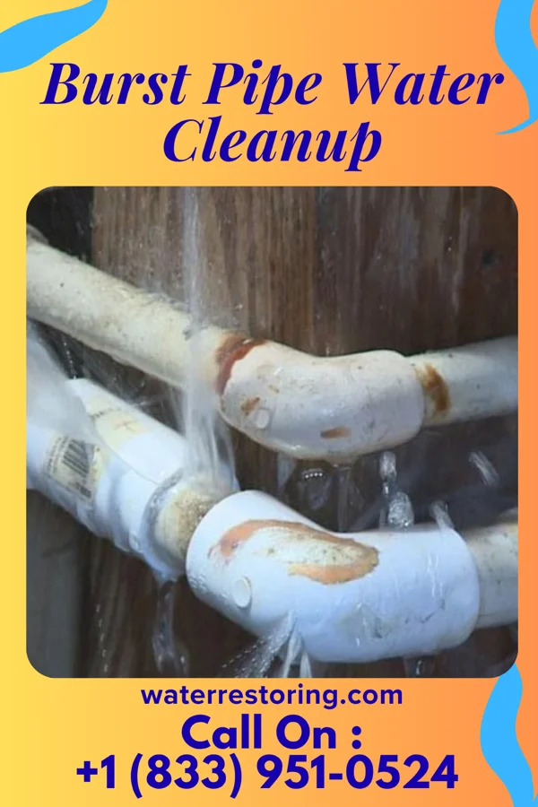 Burst Pipe Water Cleanup in Jacksonville, PA