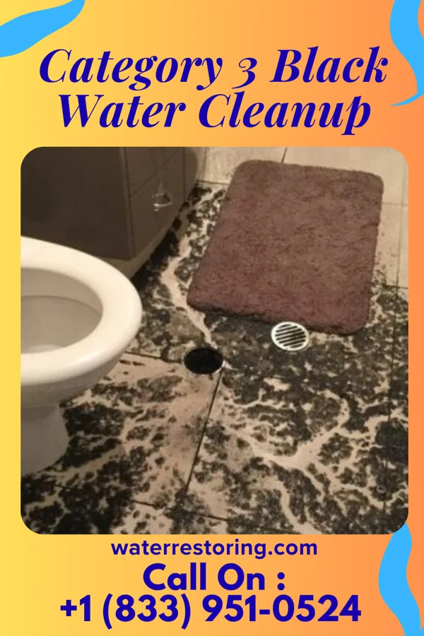 Category 3 Black Water Cleanup in Jacksonville, PA