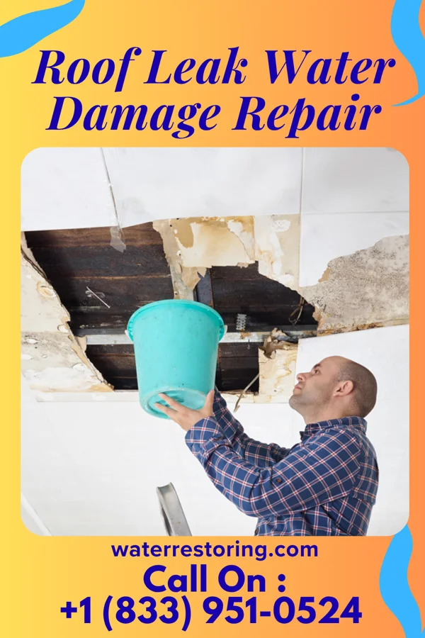 Roof Leak Water Damage Repair in Jacksonville, PA