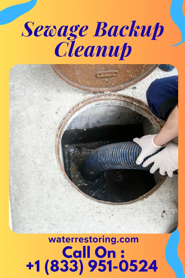 Sewage Backup Cleanup in Jacksonville, PA