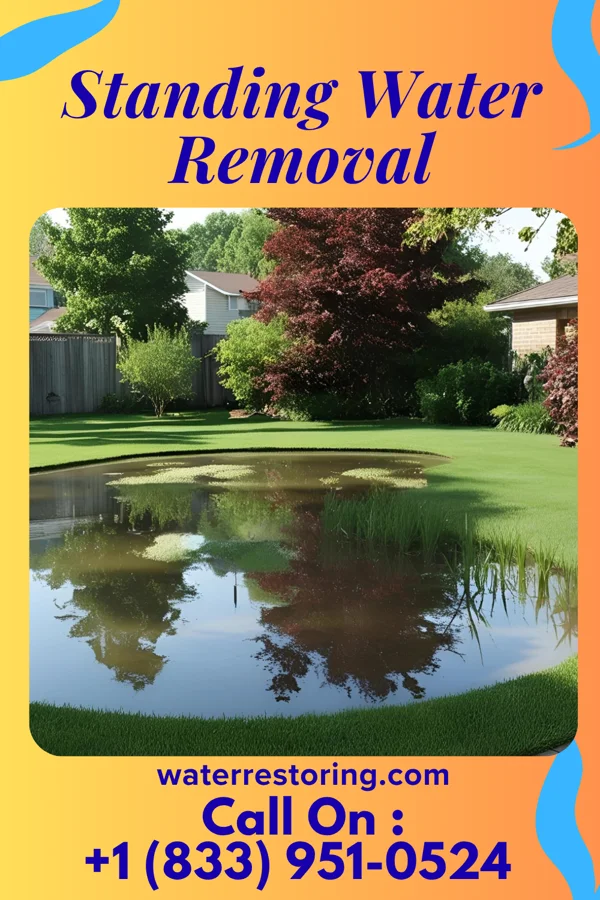 Standing Water Removal in Jacksonville, PA